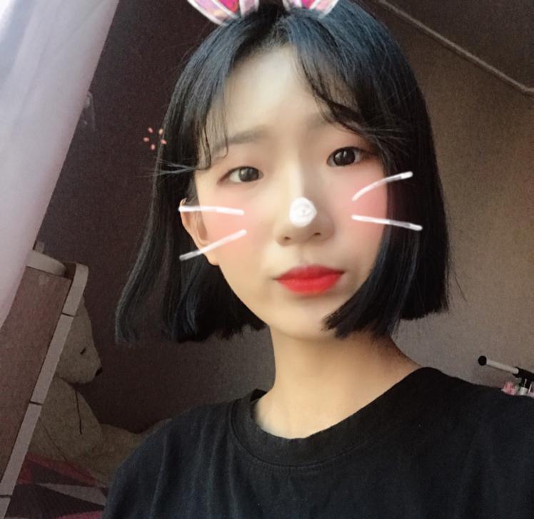 밍라밍고 프로필