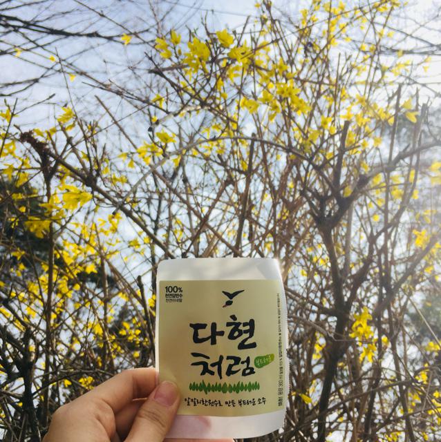 자리틀 프로필