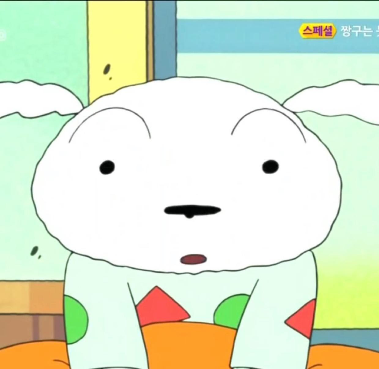 집슈니 프로필