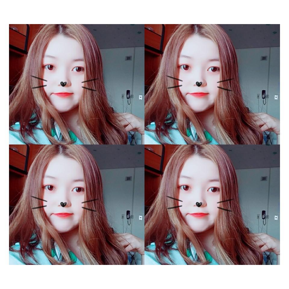 우졍졍 프로필