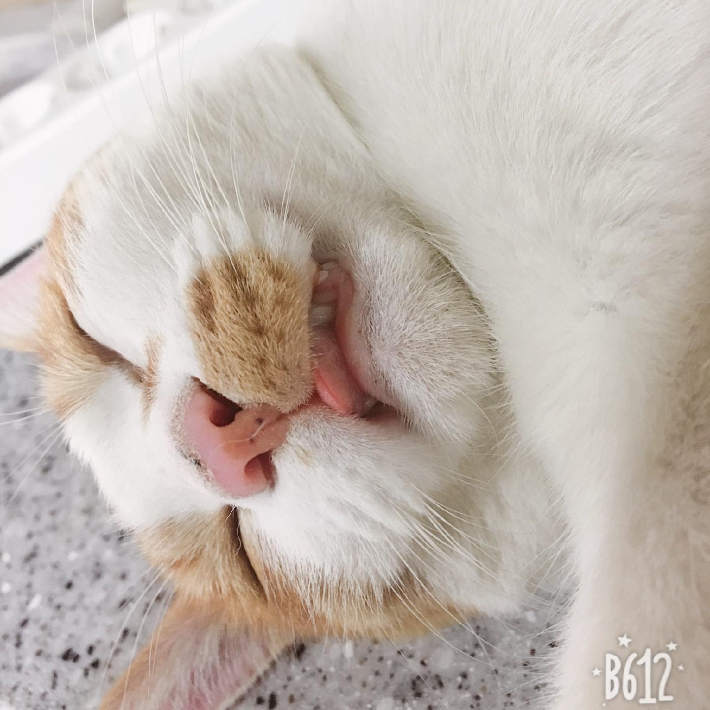 sj02196 프로필