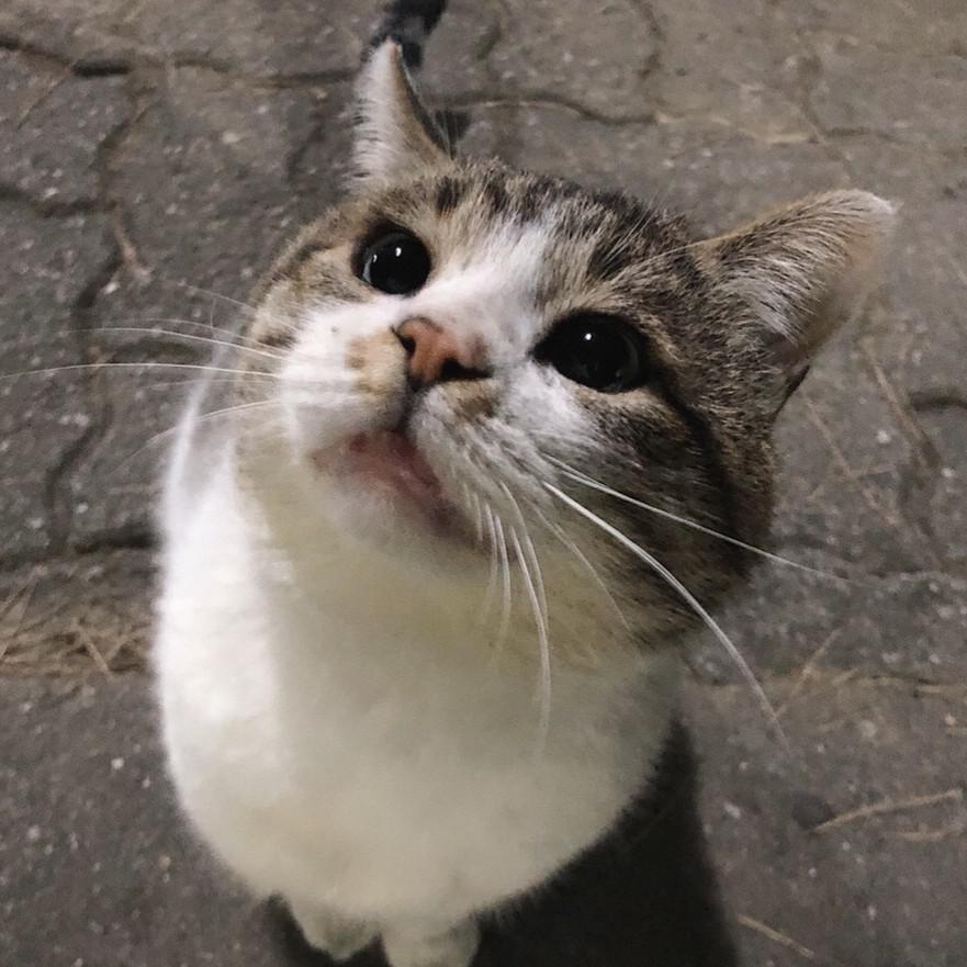 oooo0000 프로필