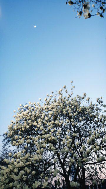 욜욜욜 프로필