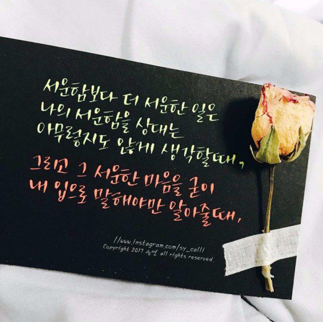 alia1002 프로필