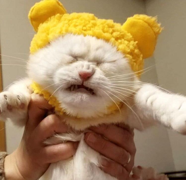 리뷰어 프로필