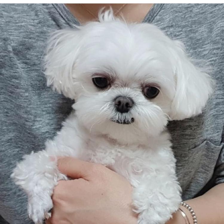 빗자 프로필