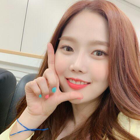 핑크충 프로필