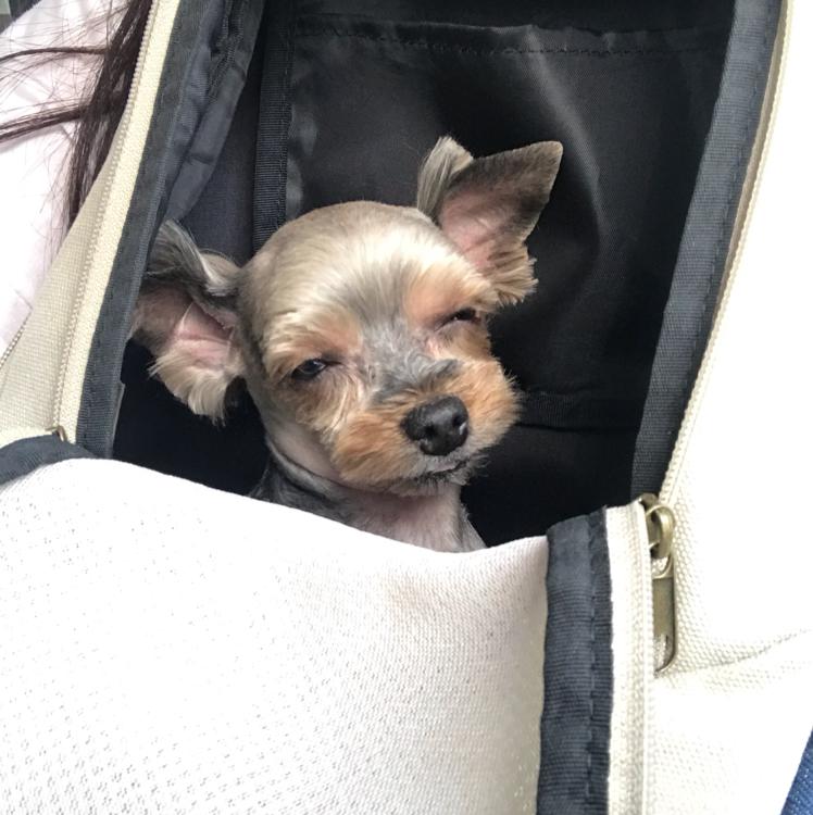콩태니 프로필