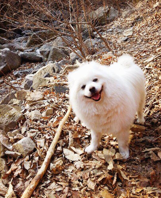 purepurepu 프로필
