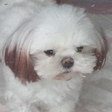 은멩이 프로필