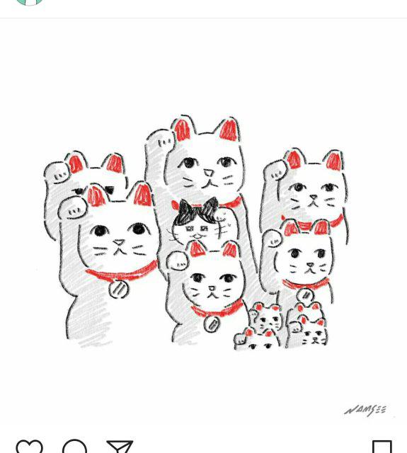 혜쿵 프로필