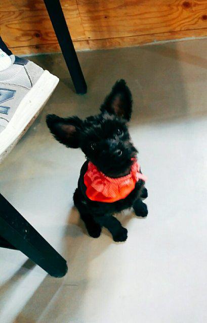 냥바라기 프로필