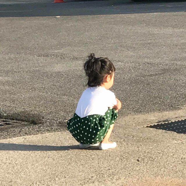 다경잉 프로필