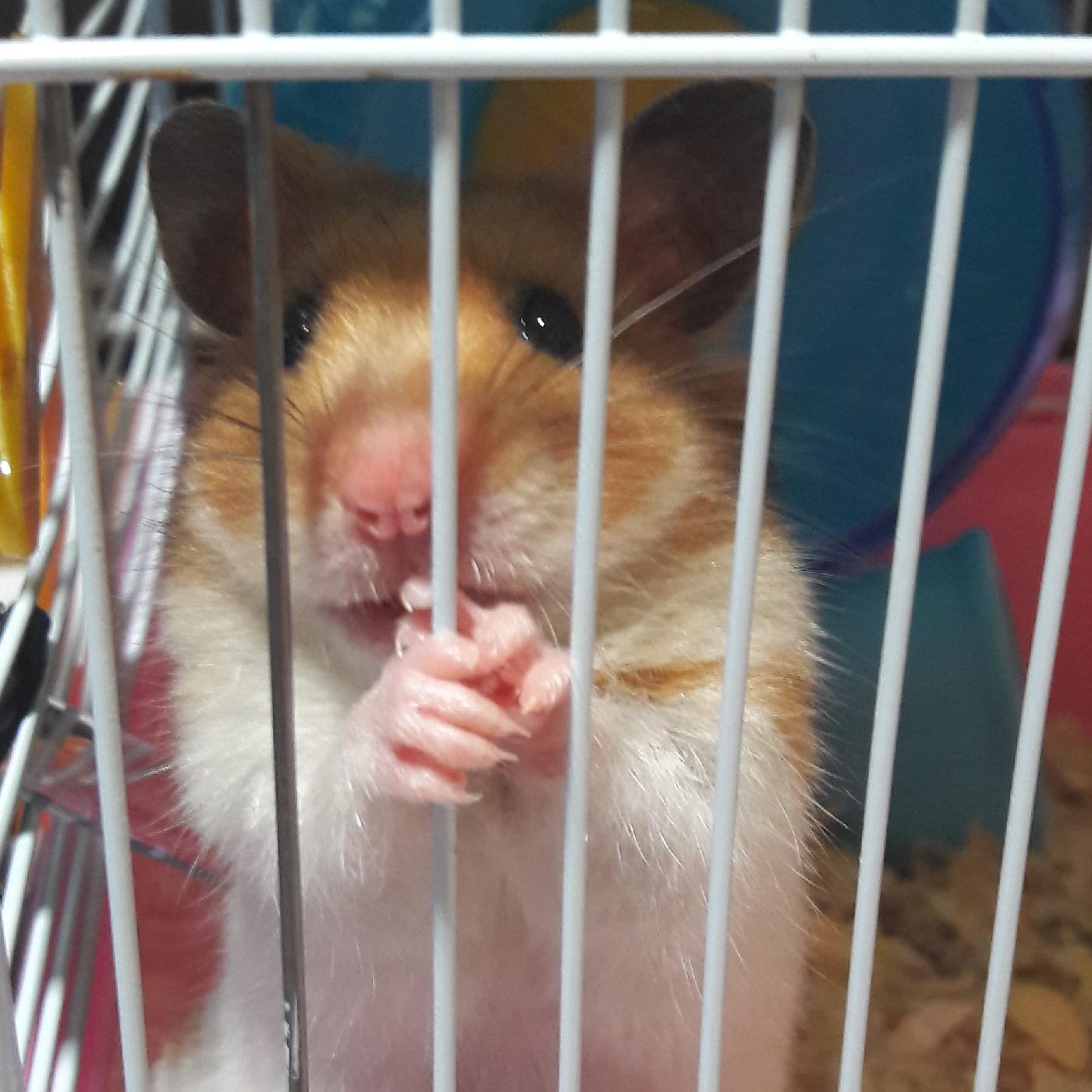 정빵순 프로필