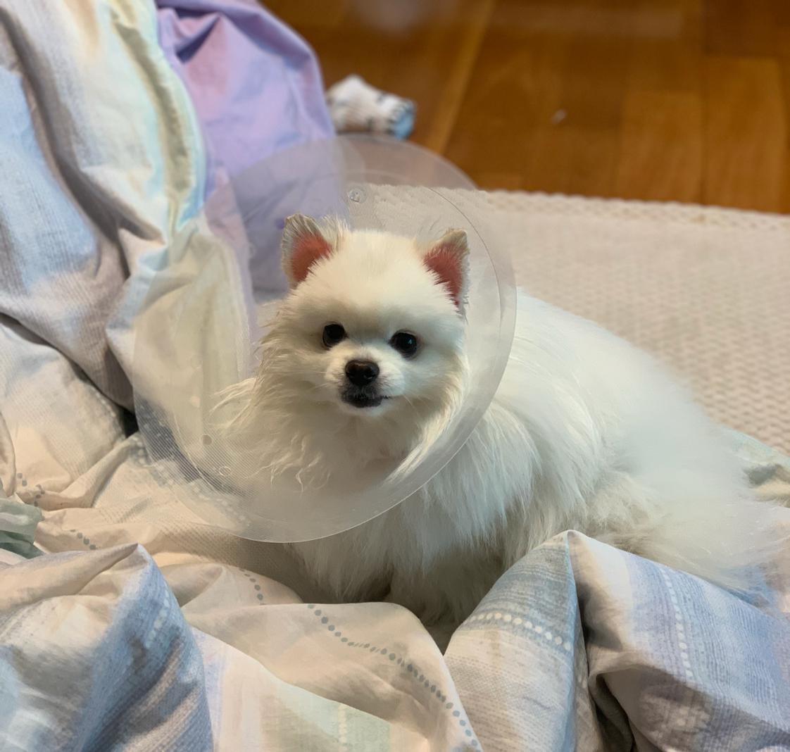 리뷰어 프로필