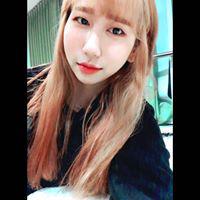 dign304 프로필