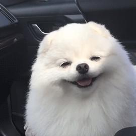 재동 프로필