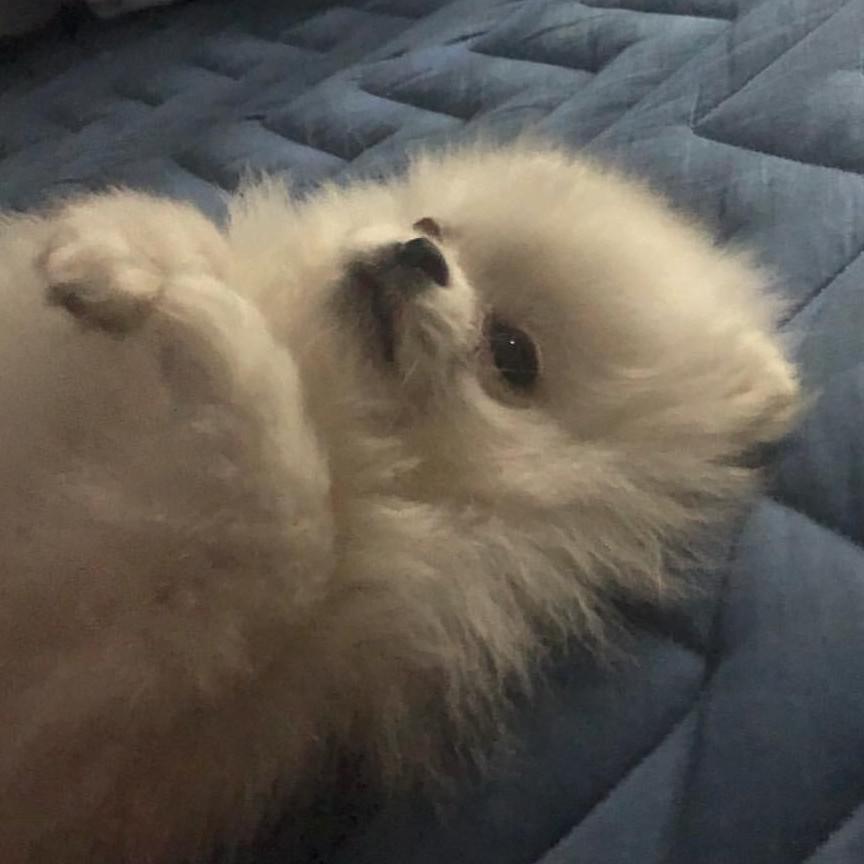 속쏙 프로필