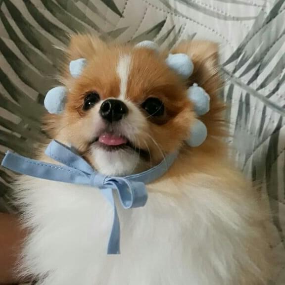 최가연 프로필