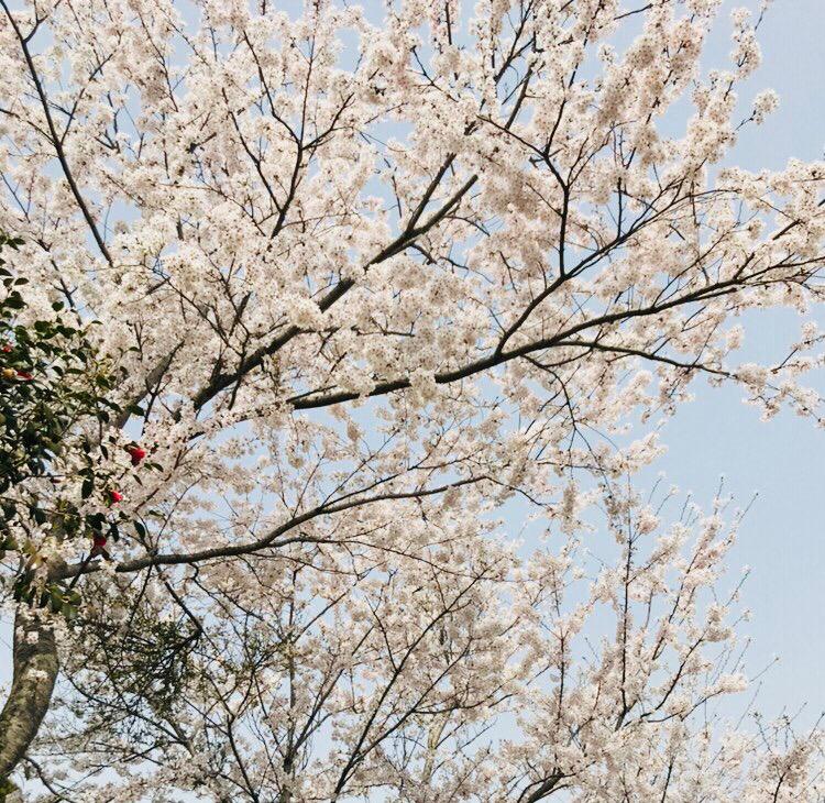 ming밍 프로필