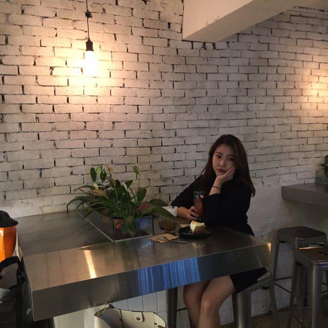 dollgg 프로필