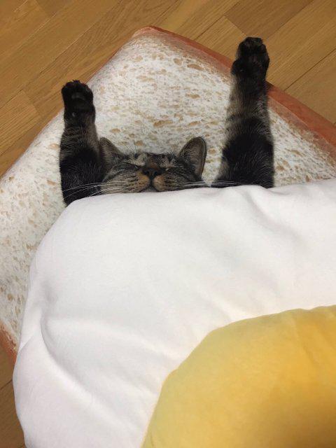 동차찾 프로필