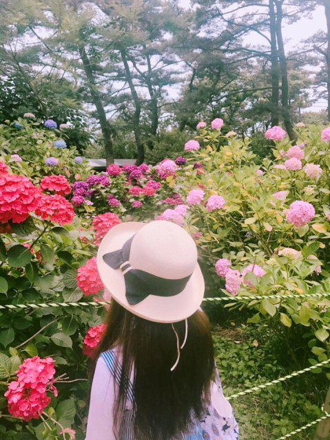 펑구 프로필