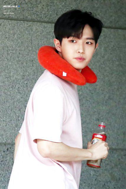 지성띠 프로필
