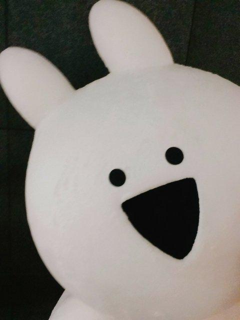 권수정이 프로필