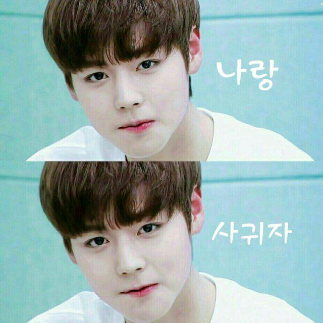 코덕의진리 프로필