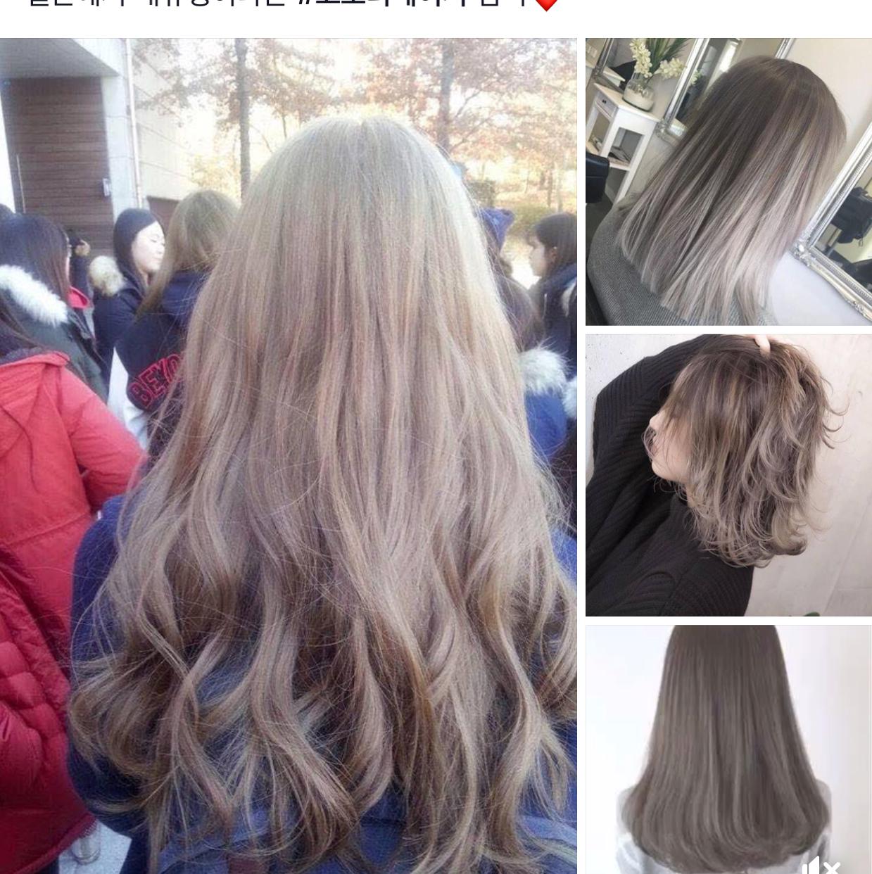 옹혜디 프로필