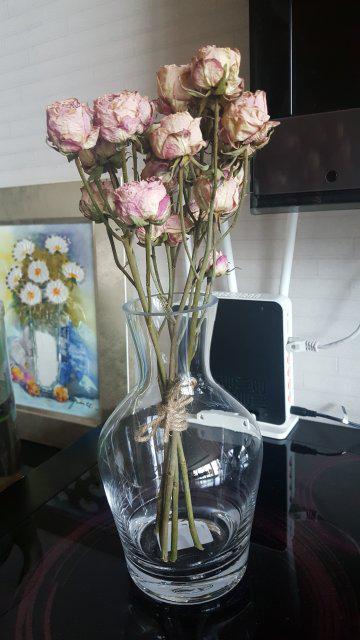 새침비 프로필
