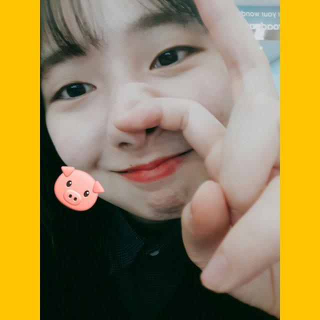 윙딮 프로필