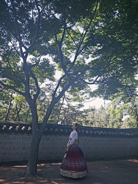 동네끼묘 프로필
