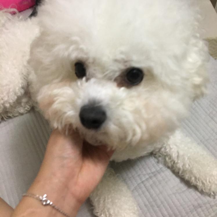 개쨩 프로필
