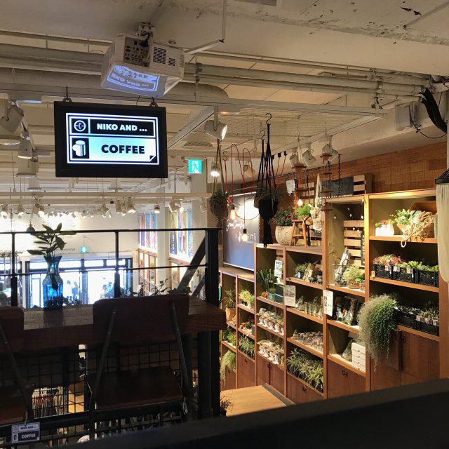 블루베리씨 프로필