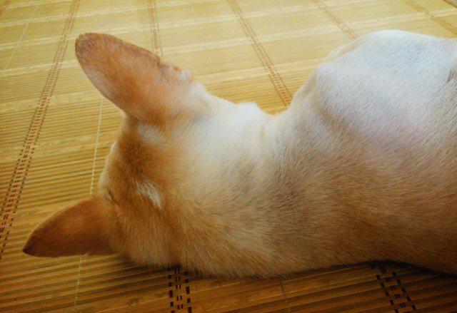 리뷰어 프로필