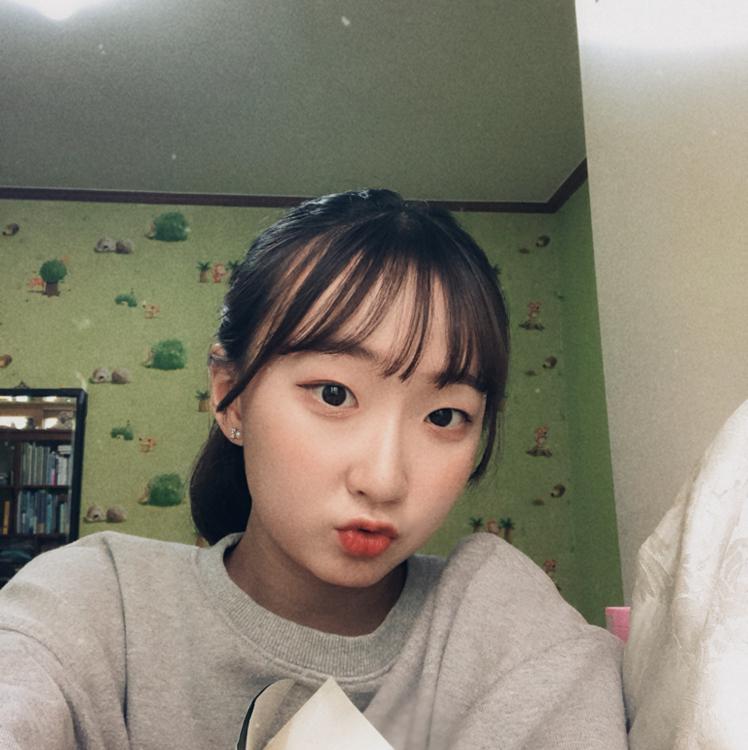하!호! 프로필