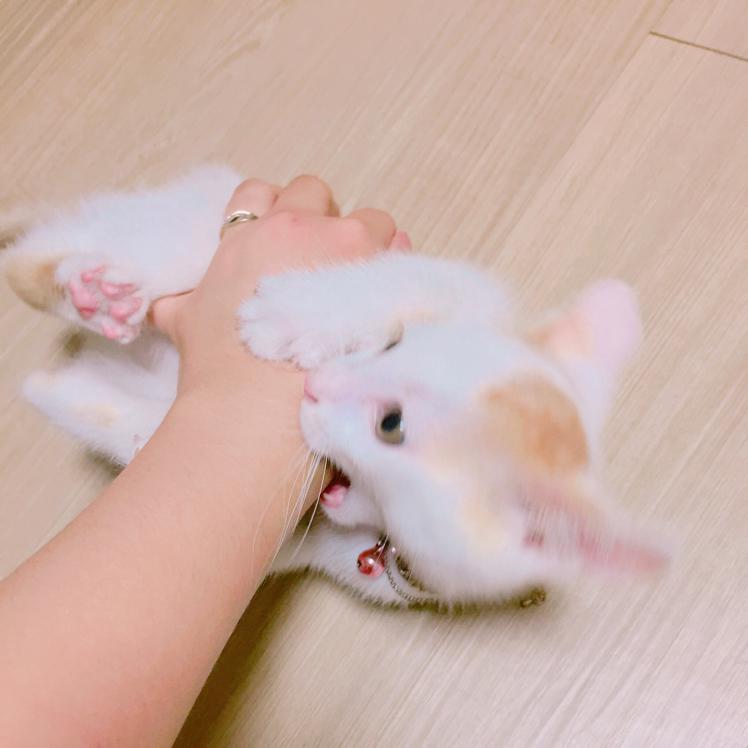 찹찹이와별이 프로필