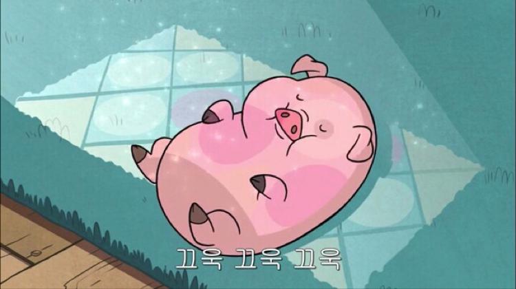 꽃도토 프로필