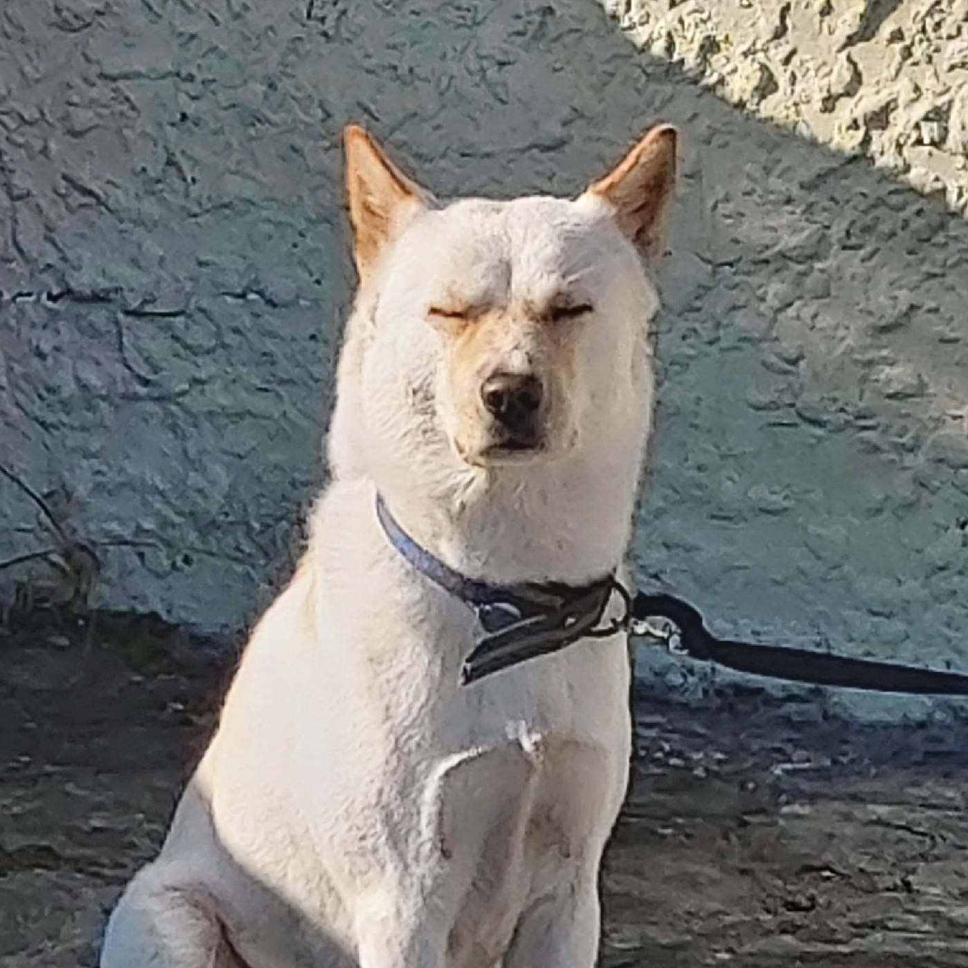 두루me 프로필
