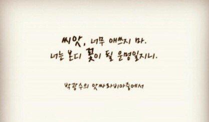채송이 프로필