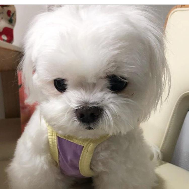 쭙쮸 프로필