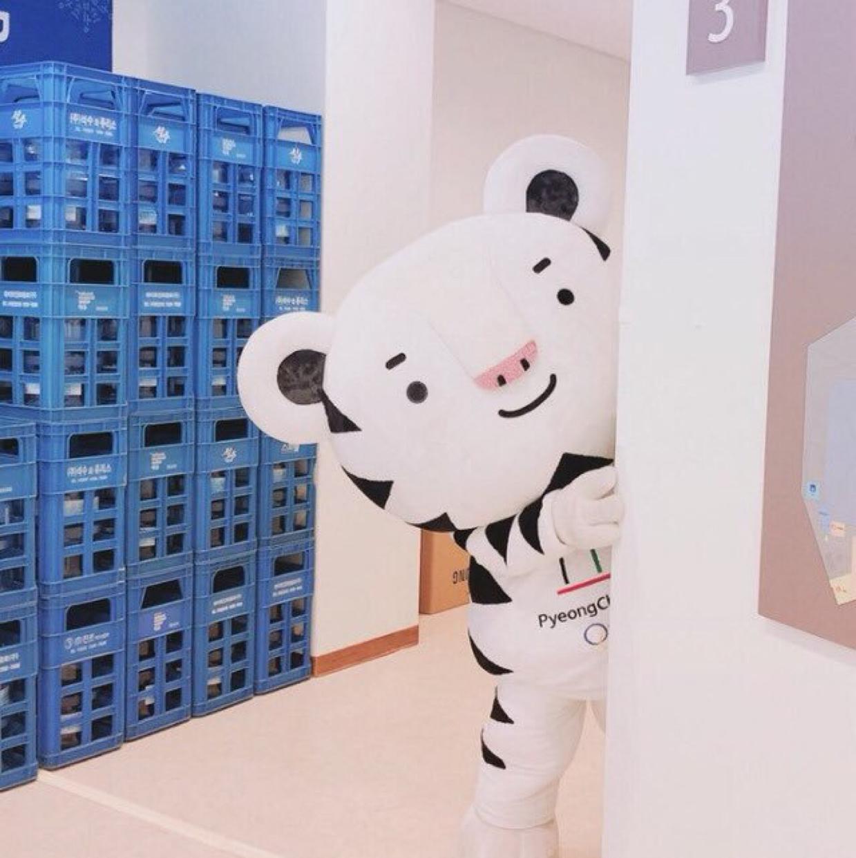 쟤닝 프로필