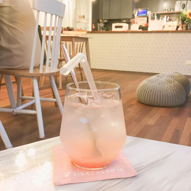 쭈뿌쭈빠 프로필