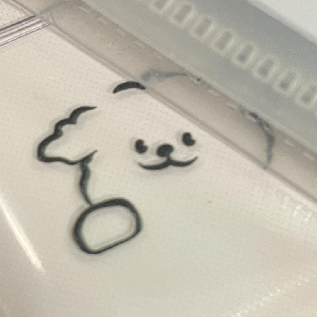 블랙자몽티 프로필