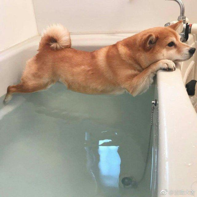 카오디 프로필