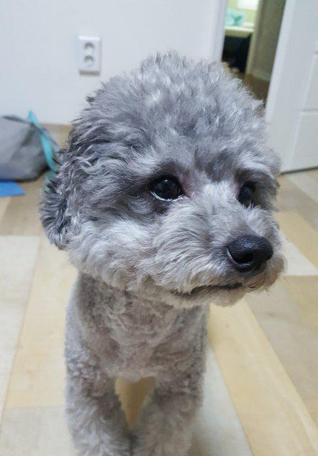yjjjjjjj 프로필