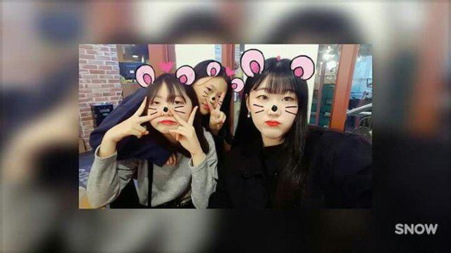 민초이 프로필