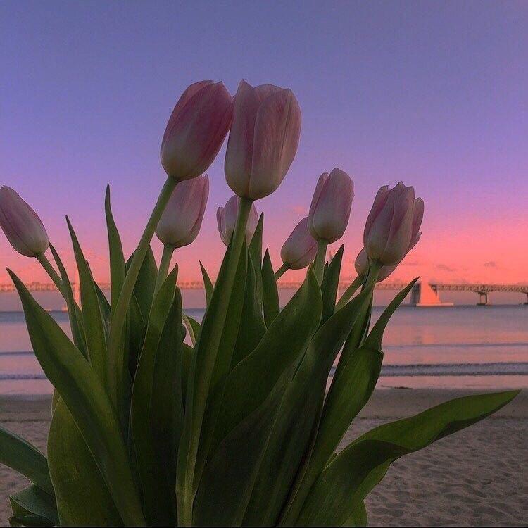 삡뺘쀼 프로필